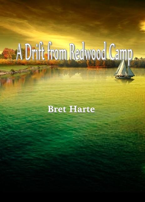 A Drift from Redwood Camp