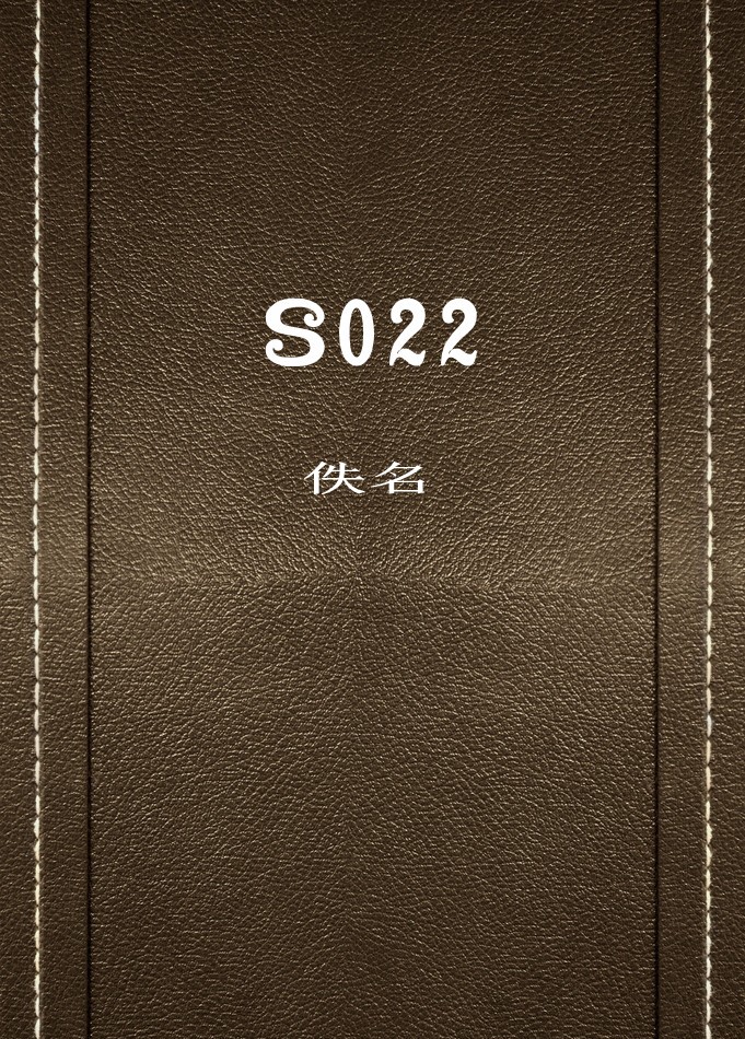 S022