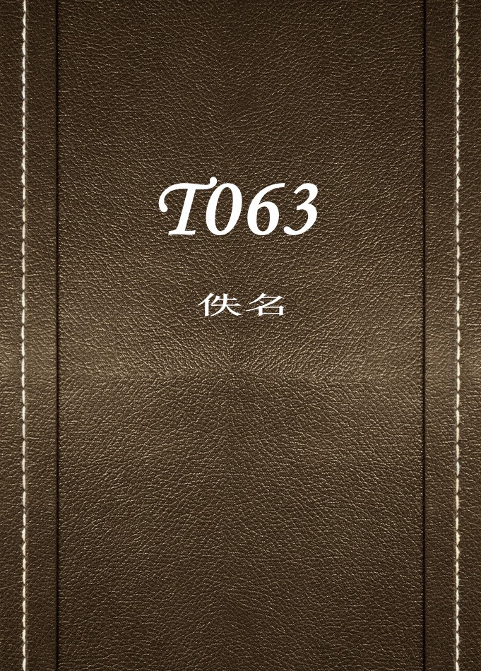 T063