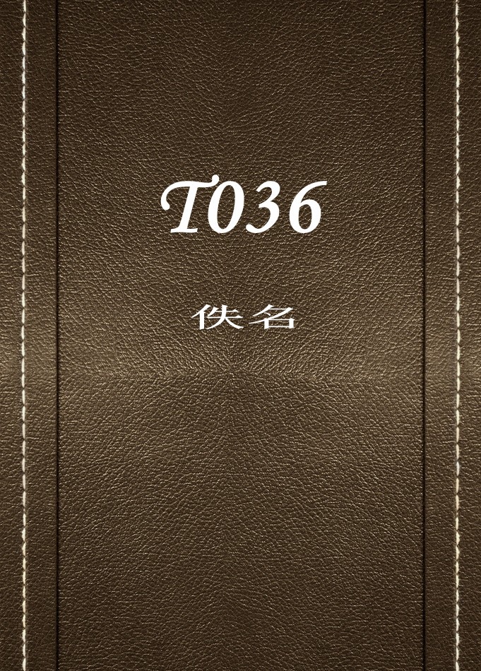 T036